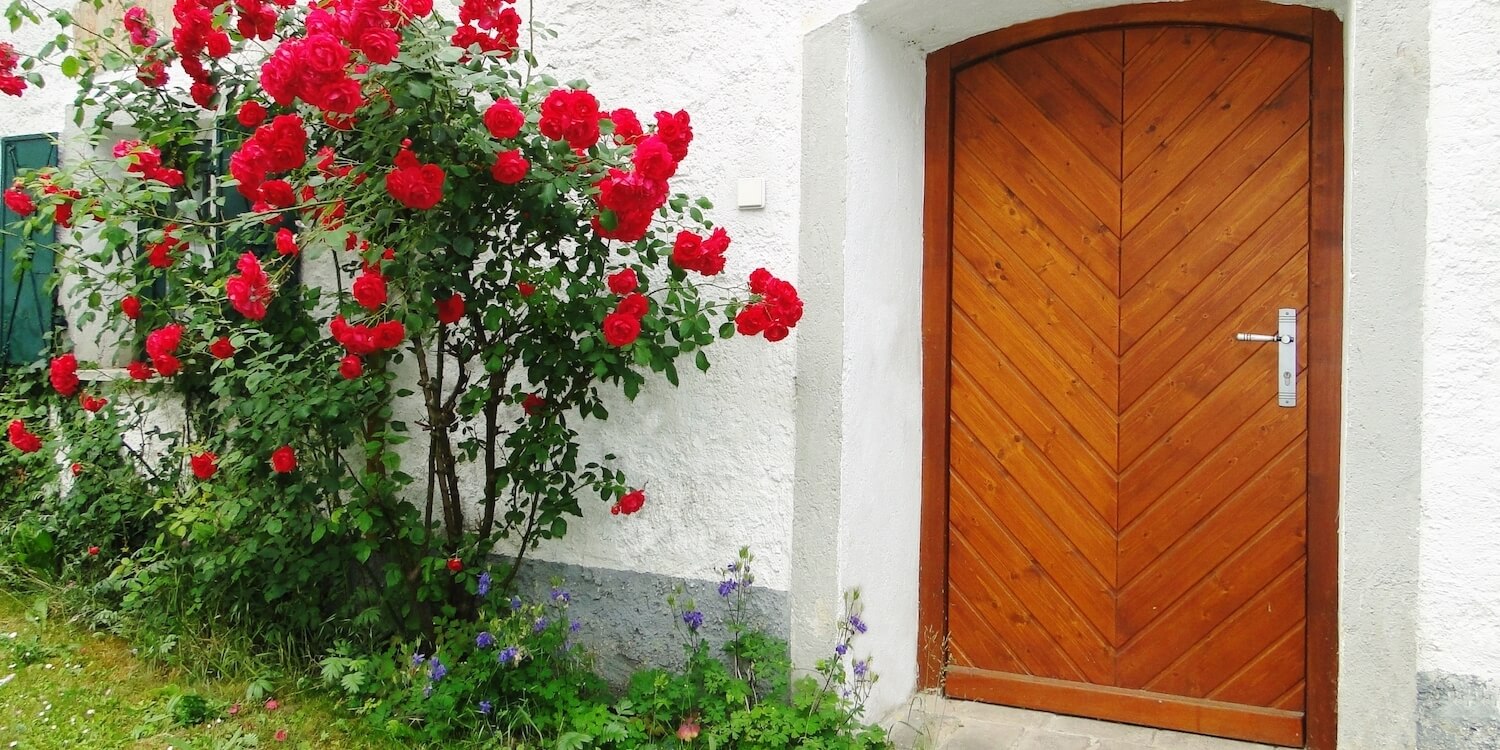 Nebentüren / Eingangstüren - ALLEMANN® GmbH Holz- u. Metallprodukte